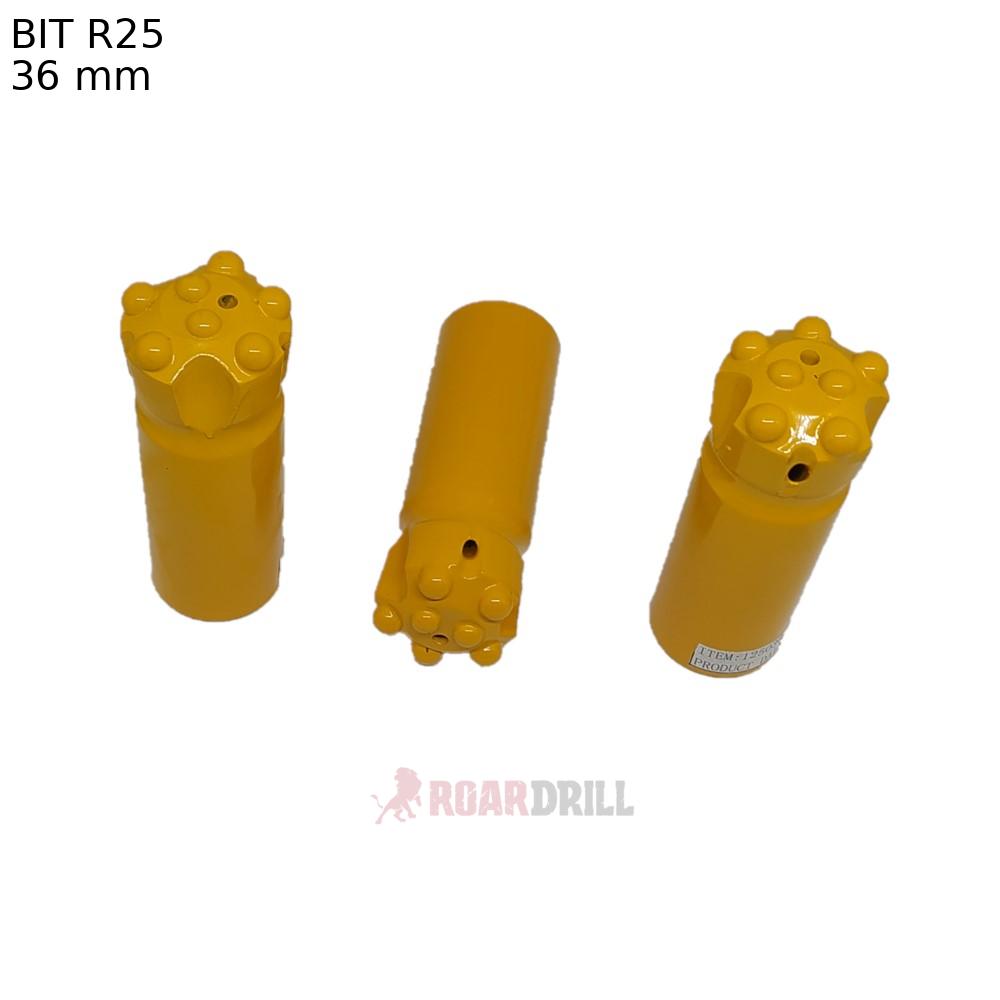 BIT R25 D:36mm Face:C, Botton: ( E5D8 +I2D7  DOME) (copia)
