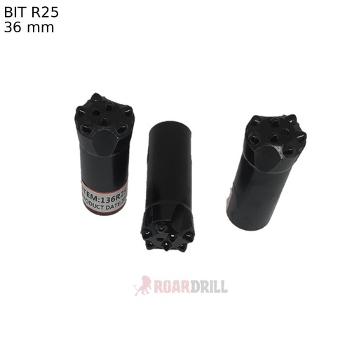 [11-125036CZ0509S] BIT R25 D:36mm Face:C, Botton: ( E5D8 +I2D7  SEMB)