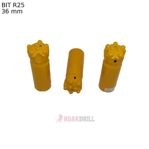 [11-125036CZ0509D] BIT R25 D:36mm Face:C, Botton: ( E5D8 +I2D7  DOME)