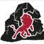 Logo de Cemento Expansivo Roar